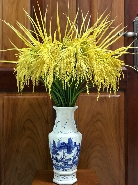 Bông lúa decor