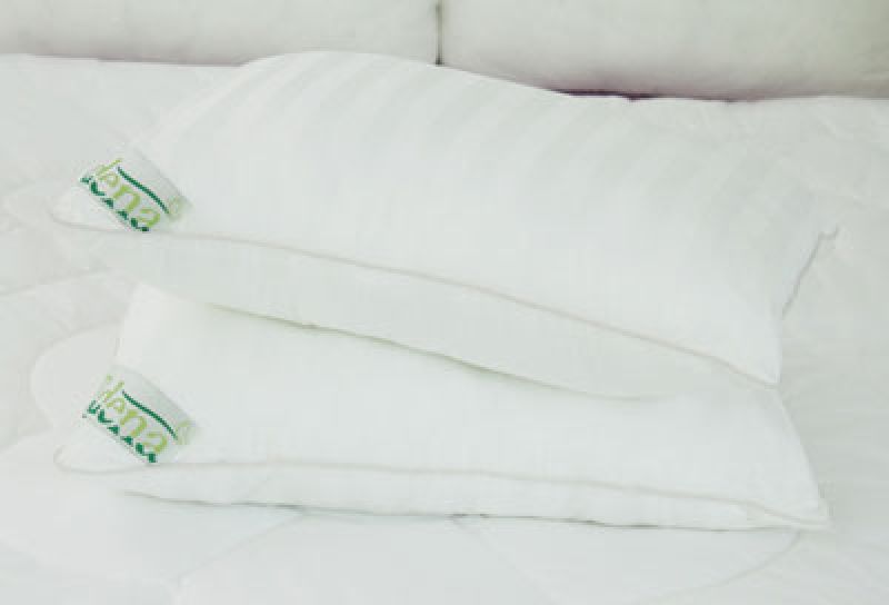 [HCM]1 Ruột Gối Nằm Edena Ball 45x65cm mềm mại và độ đàn hồi cao