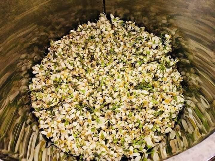 Nước cất hoa bưởi Pomely