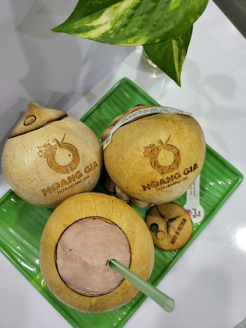 [COMBO 3 TRÁI] Dừa nướng Hoàng Gia size M(400-600g)