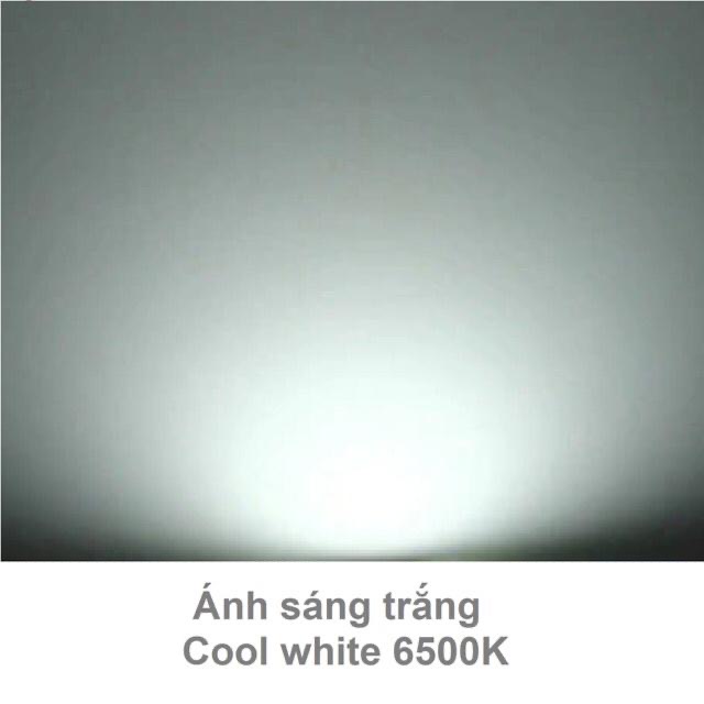 Đèn led chiếu pha 100w Rạng Đông