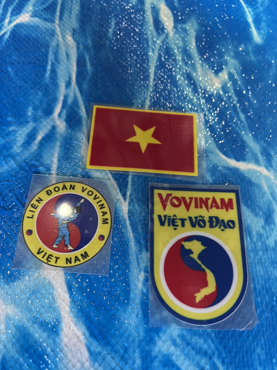 {Decan in Logo Vovinam dán Xe} Ailaikit Hàng Lưu niệm Võ thuật