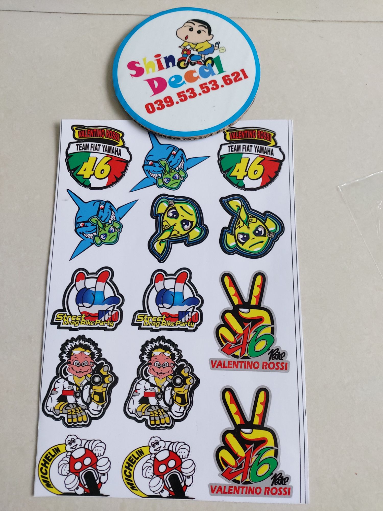 Combo logo 46 cá rùa đủ loại
