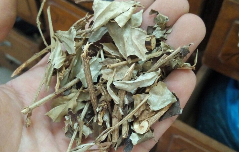 Lá khổ sâm khô (1kg) GT101