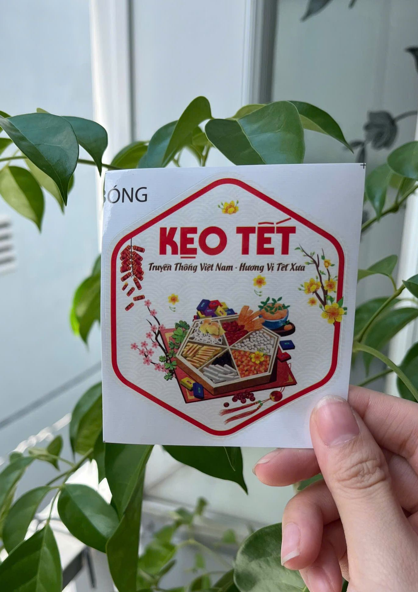 55 tem dán "Kẹo tết" - Lục giác 7x8cm