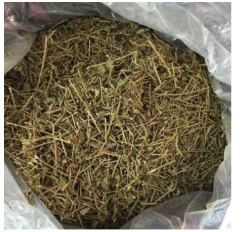 Cà gai leo khô 1kg GT020