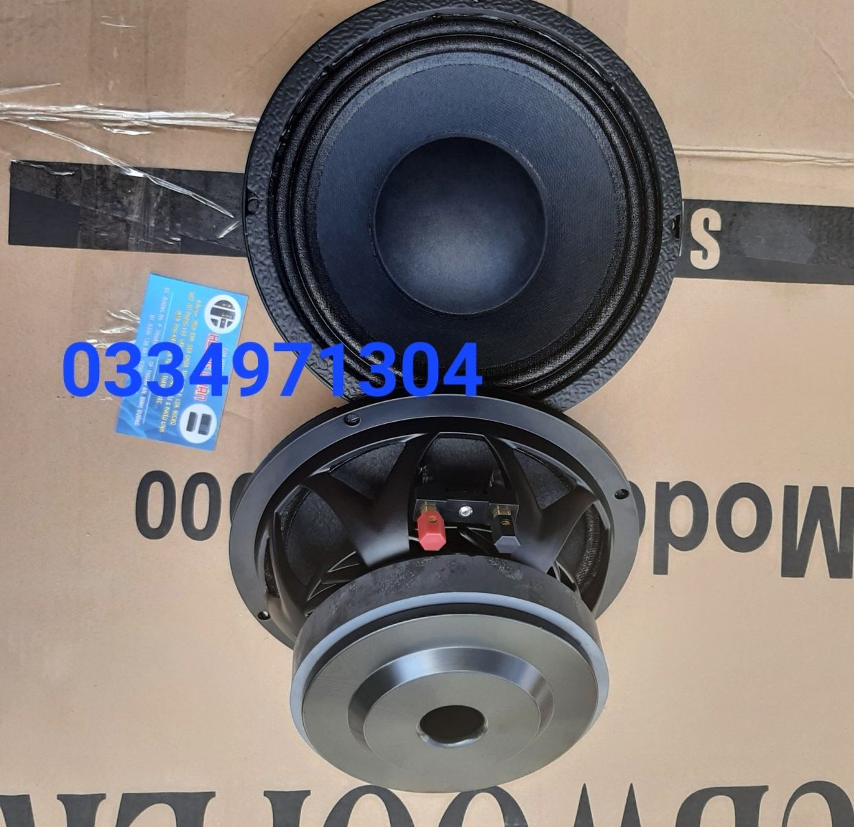Bass 20 nhap khau cao cap