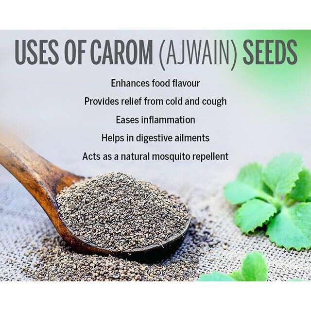 HOT SALE Hạt CAROM SEED- AJWAIN SEED