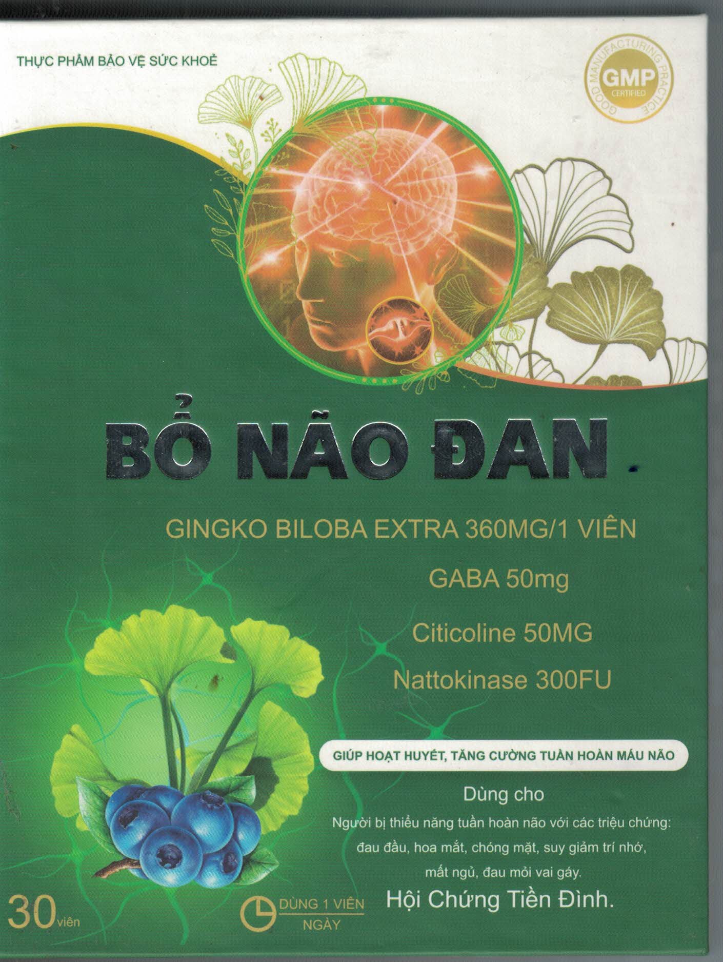 Bổ Não Đan: Tổng Quan và Phân Tích Chuyên Sâu