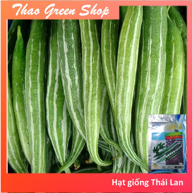 LẶC LÈ THÁI CAO SẢN - 2G