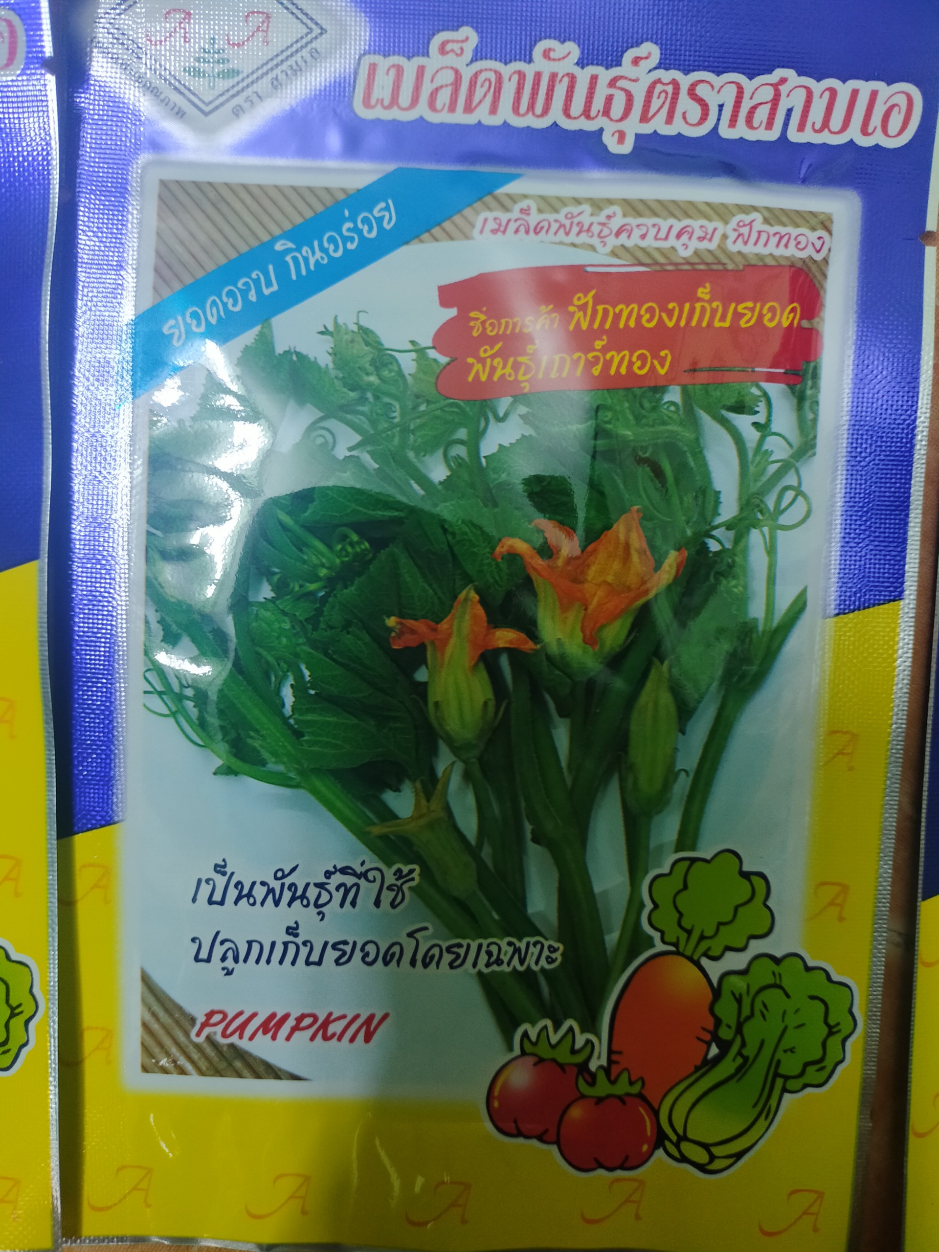 hạt giống bí siêu ngọn nhập khẩu thái lan