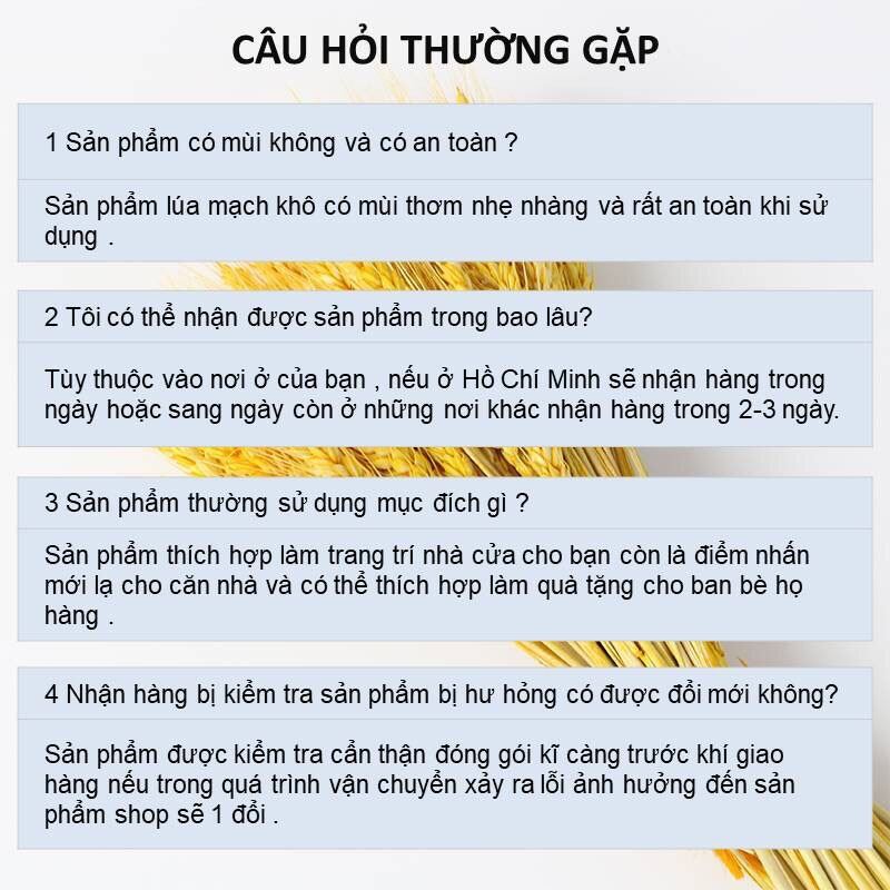 100 bông lúa mạch vàng decor trang trí Tết loại 1 ( hạnh phúc , ấm no, thịnh vượng )