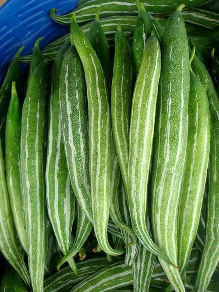 Hạt Giống Quả Lặc Lày (Lặc lè) 2g