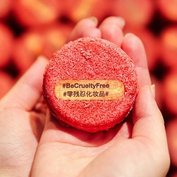 [HCM]Bánh dầu gội LUSH - New shampoo bar