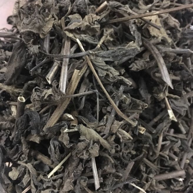 Sỉ toàn quốc 1kg nhân trần