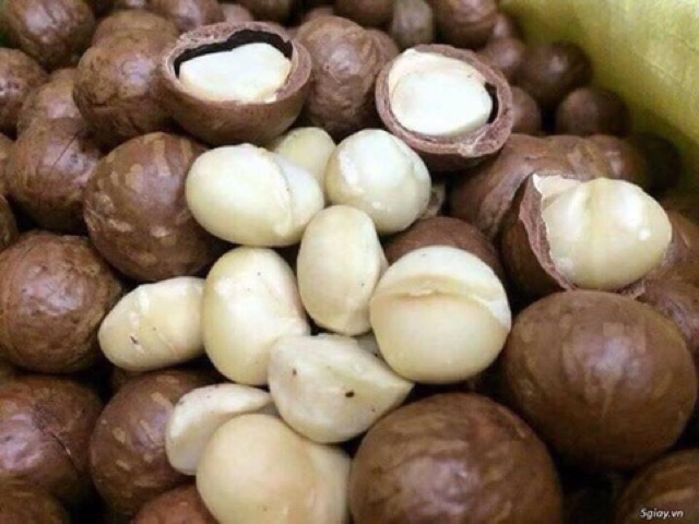 500Gr Hạt Macca Úc Nứt Vỏ Tự Nhiên