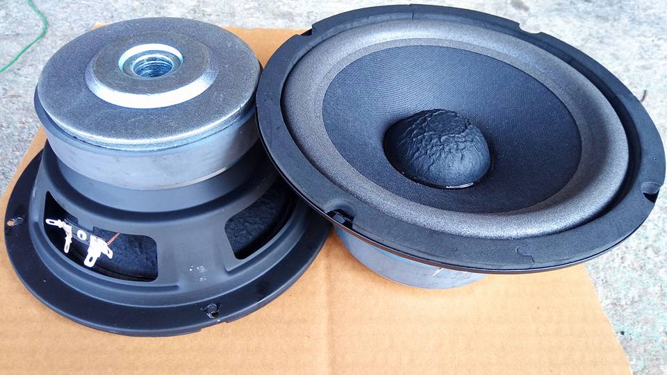 CỦ LOA BASS 20CM - TỪ 126 - COIL 38 / 1 CÁI