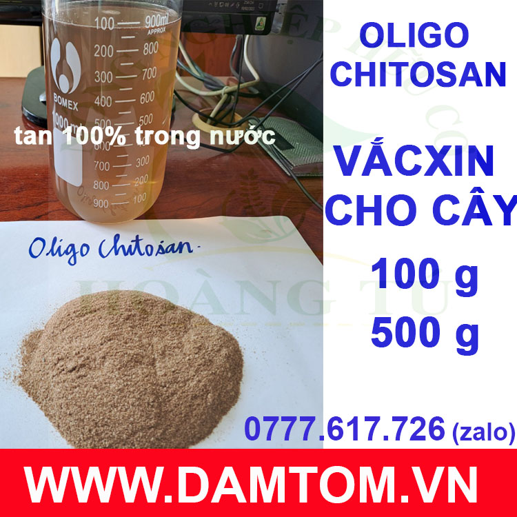 PHÂN OLIGO Chitosan- Dạng Bột (Gói 500gram)