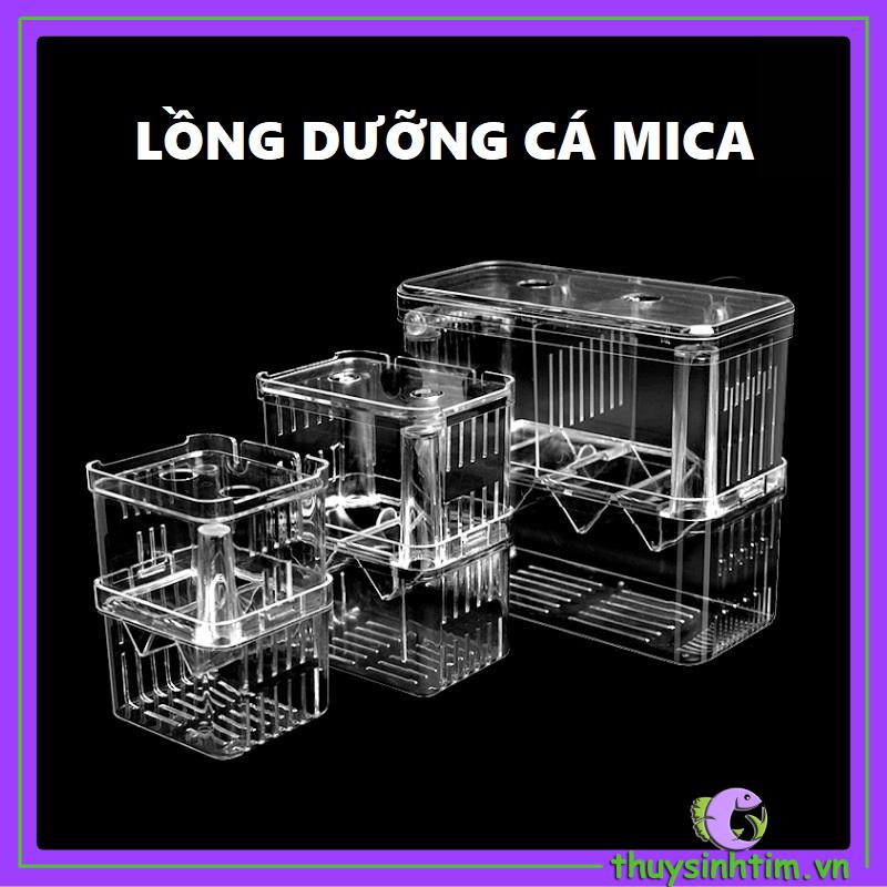 Lồng Đẻ Mica Nhiều Size Dành Cho Cá Cảnh