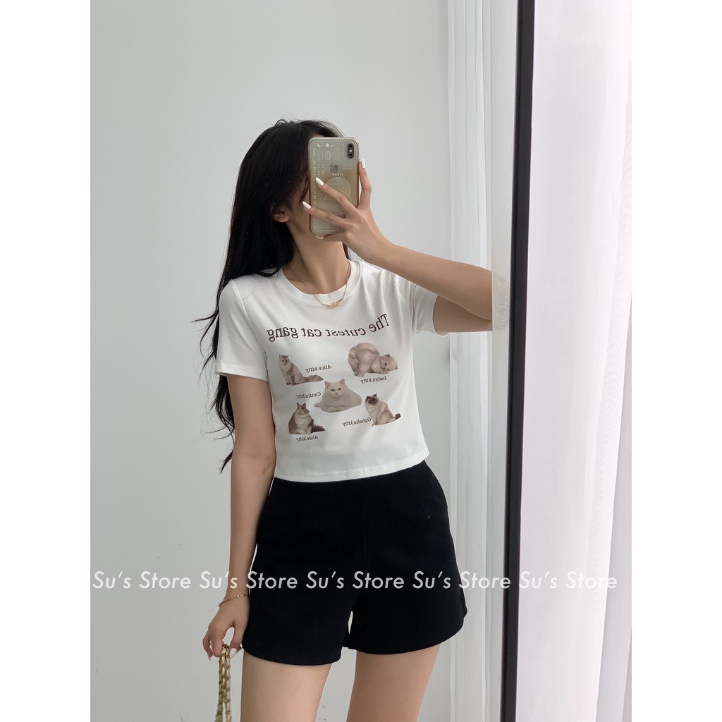 Áo croptop nữ in hình mèo siêu cute- Aothunhinhmeo337 - 247StoreFashion