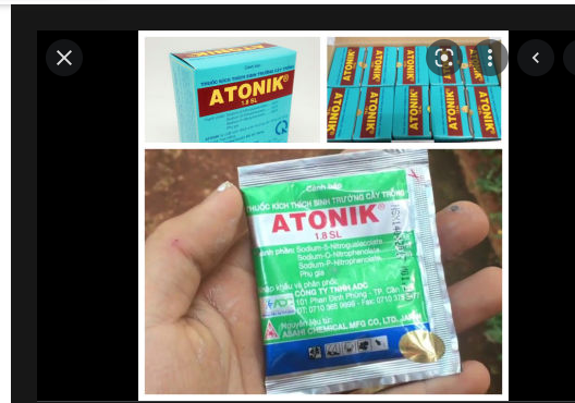 Phân bón lá ATONIK 1.SL gói 10ml