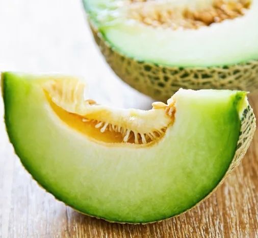 Green Cantaloupe Seeds (Rado 173) 10 seeds package