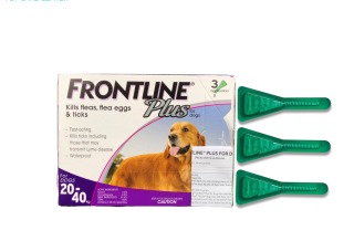 Hanpet- Frontline Plus nhỏ gáy hết ve rận, bọ chét cho chó size 20-40kg - thumbnail