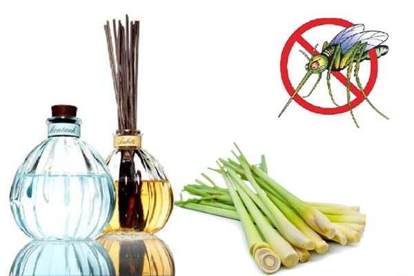 Tinh dầu sả java nguyên chất Lê Quế 10ml