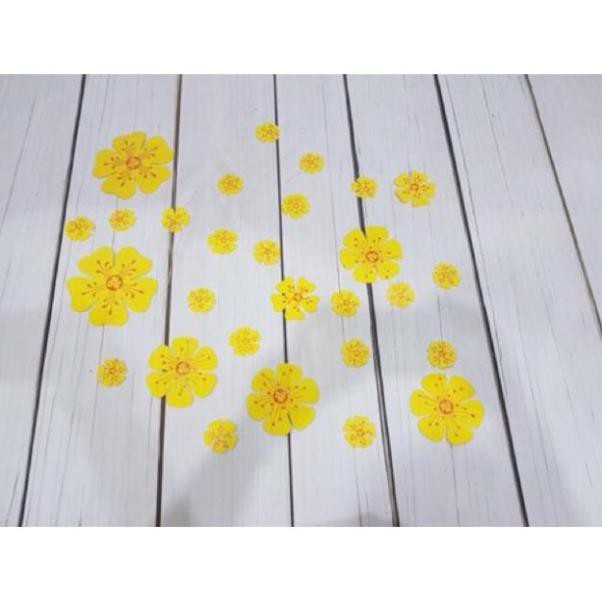 9 bông hoa mai xốp dán tường dán kính