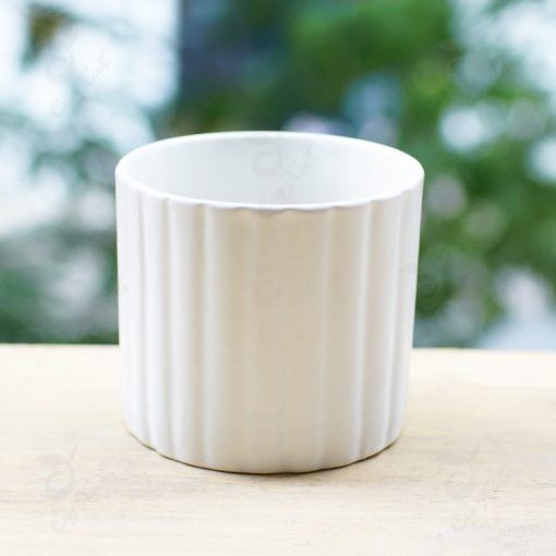Chậu sứ trụ nhỏ