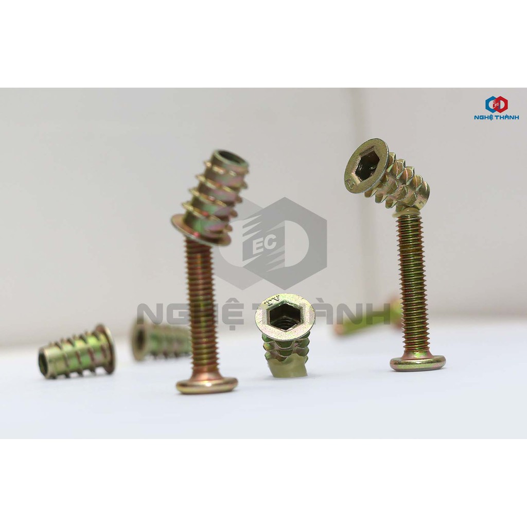 Bộ Bulong + ốc cấy gỗ hiệu EC [HCM]