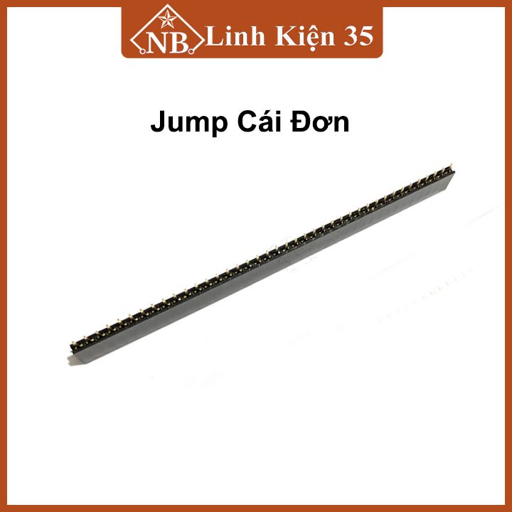 Jump cái đơn/đôi khoảng cách chân 2.54mm chân thẳng 40P