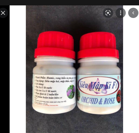 CHẾ PHẨM SIÊU MẬP KI F1 CHO HOA LAN LỌ 50ML