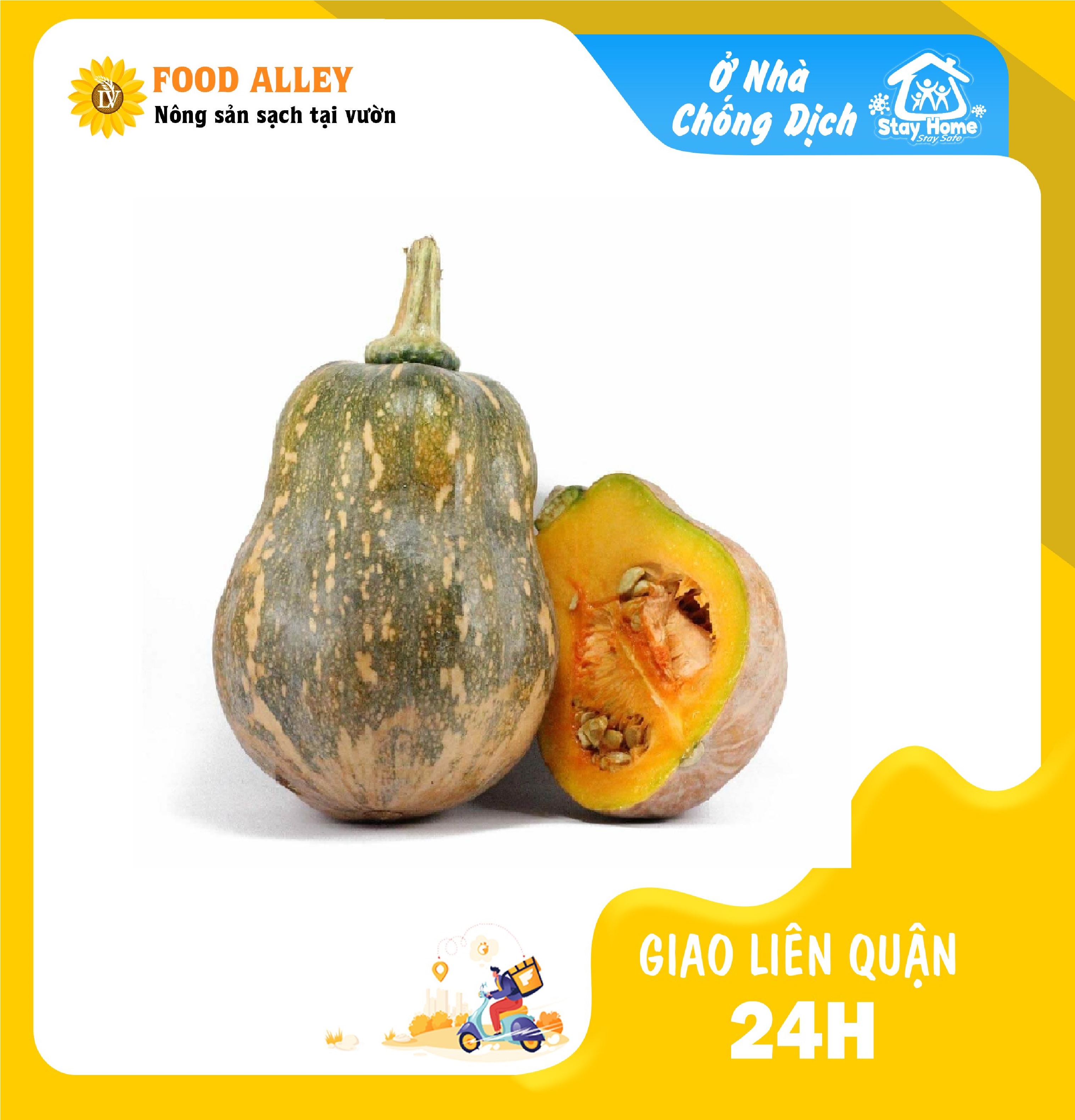 [CHỈ GIAO HCM] BÍ HỒ LÔ ĐÀ LẠT