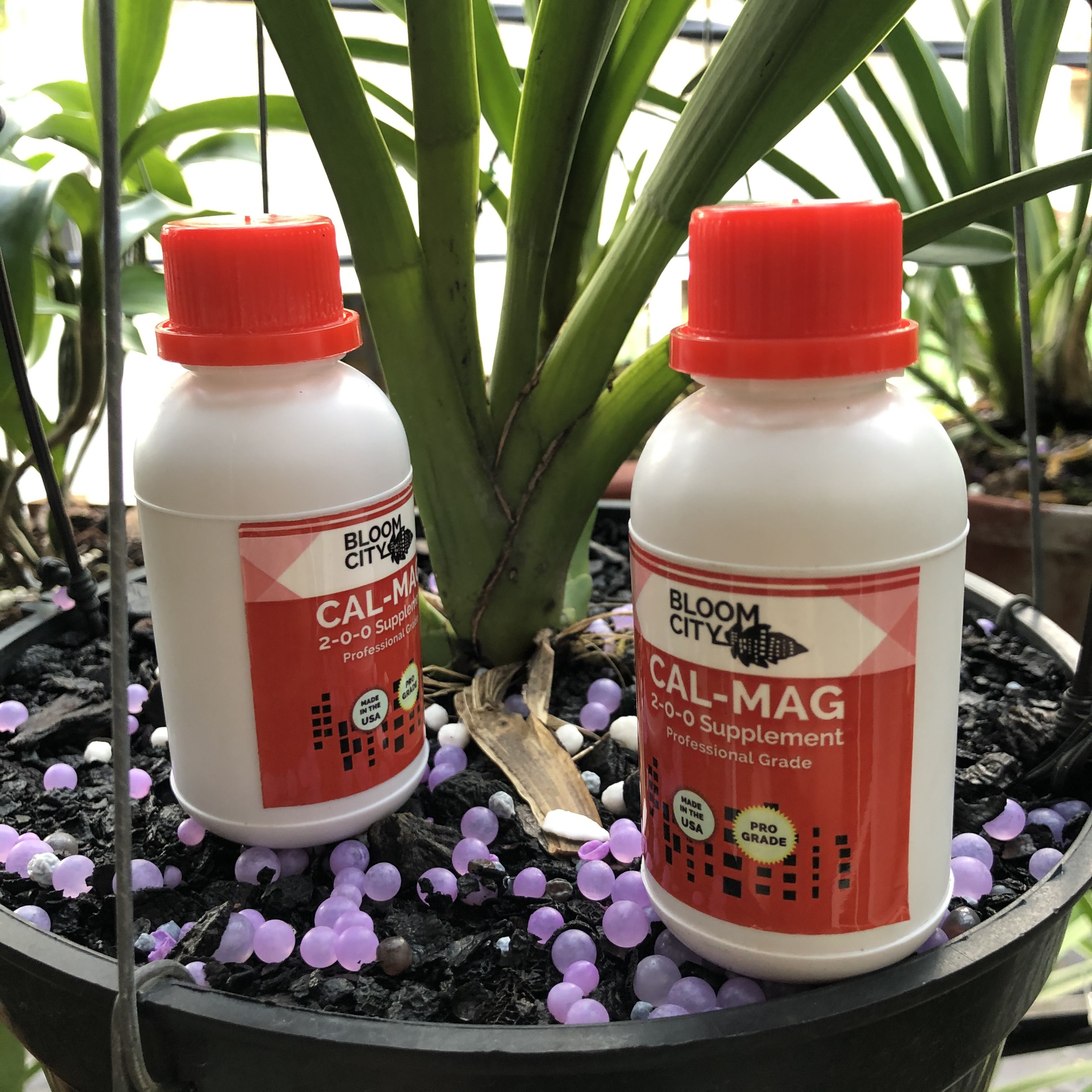 Phân bón hữu cơ trung vi lượng cal - mag chai 100ml