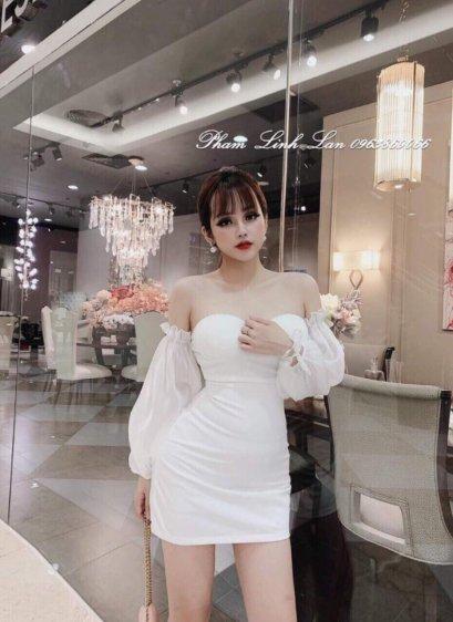 Đầm body cúp ngực phối tay lưới