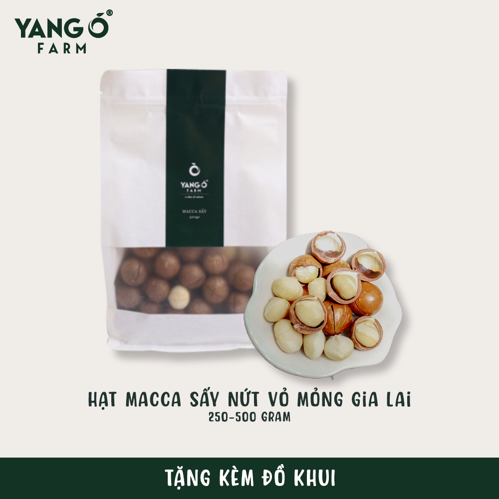 Hạt macca sấy nứt vỏ mỏng gia lai tự nhiên yang o farm - tặng kèm đồ tách vỏ