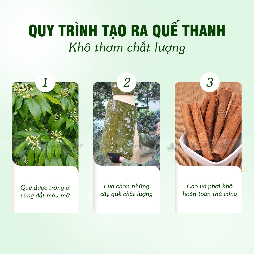 Quế cạo vỏ 100g, quế thanh đẹp 8cm, pha trà, nấu ăn, decor, trang trí, trà quế sạch thơm, cay