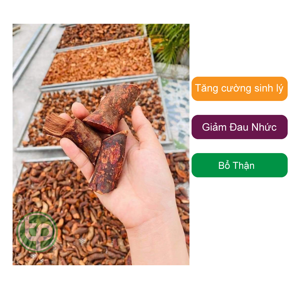 [Hàng mới về] Rễ cây mú từn khô 500g - Thảo Dược Tấn Phát - Hỗ trợ cải thiện sức khoẻ sinh lý nam