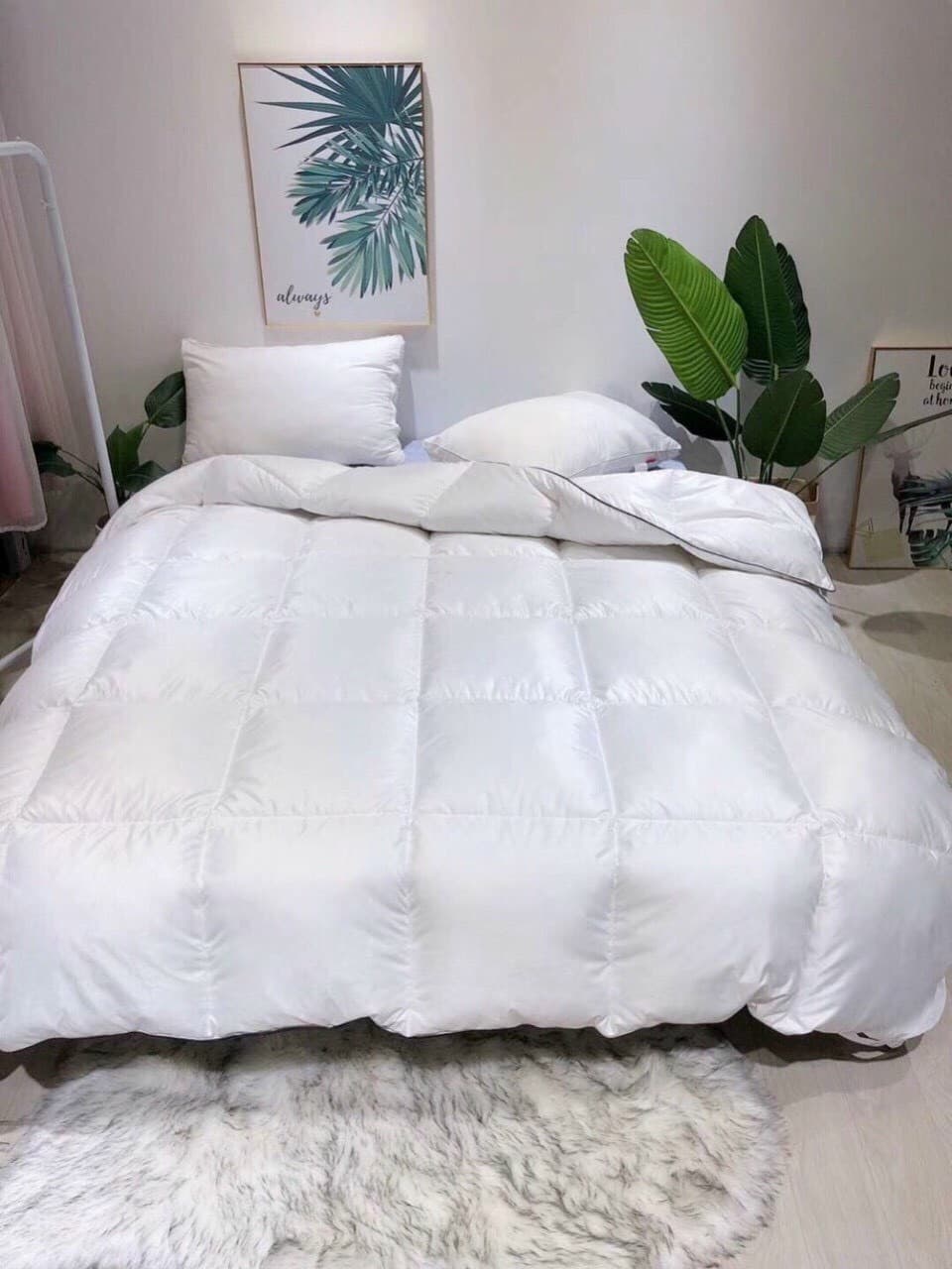 CHĂN LÔNG VŨ ZARA HOME CAO CẤP 2M X 2M3