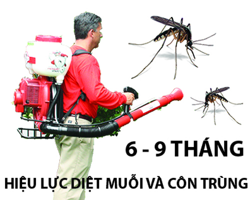 Thuốc xịt muỗi y tế Icon 10CS
