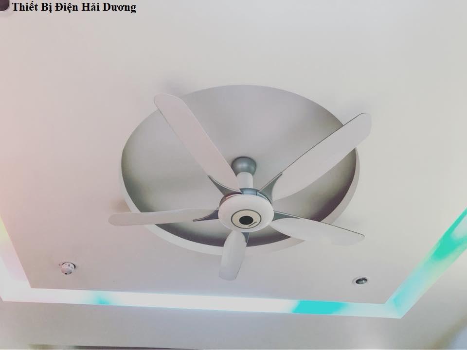 [HCM]Quạt trần Panasonic 5 cánh F-60WWK
