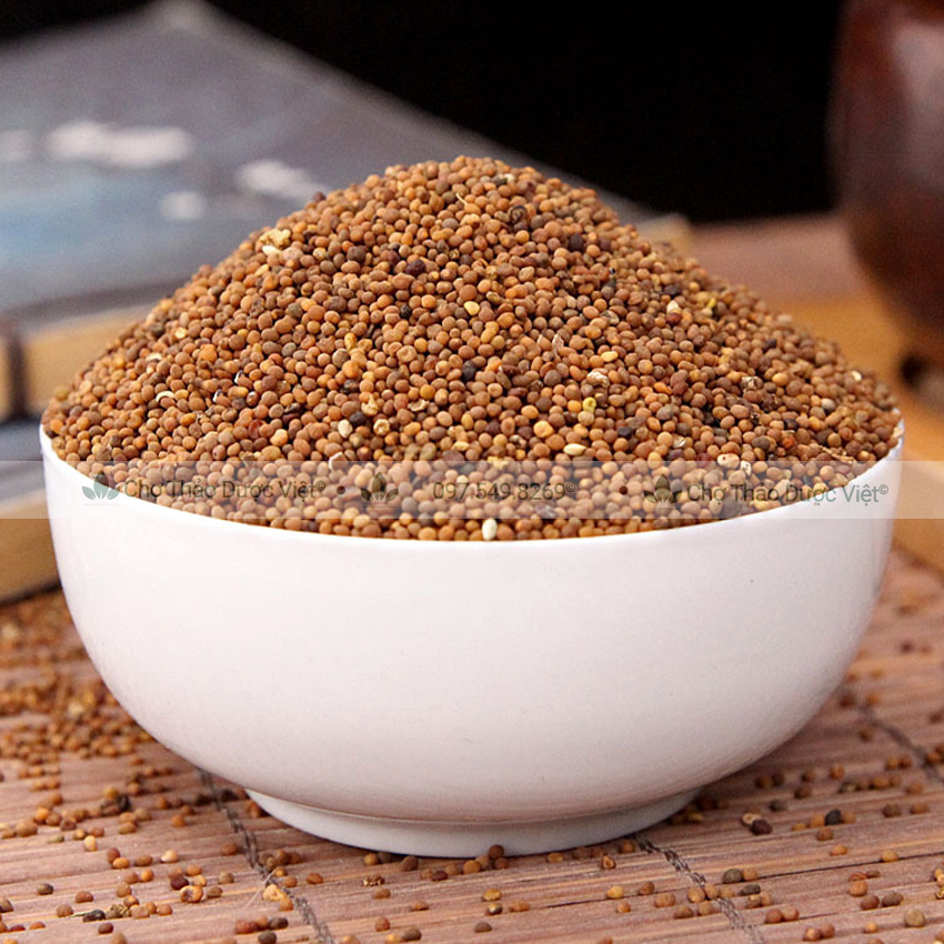 Thỏ ty tử 100g, khô, vàng, sạch, hỗ trợ bổ can thận, mạnh gân cốt, tăng cường sinh lý nam
