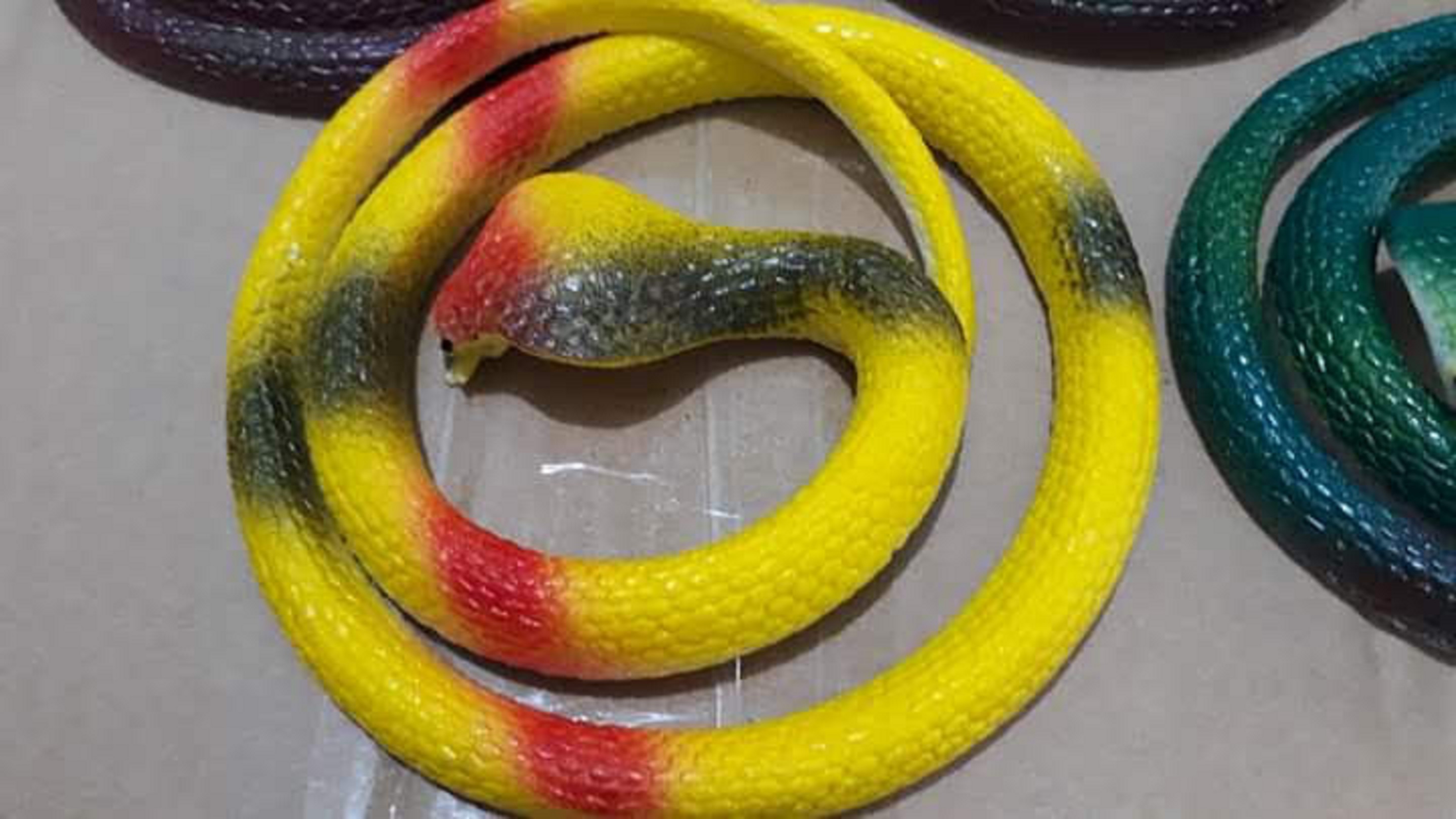 Đồ chơi rắn cao su