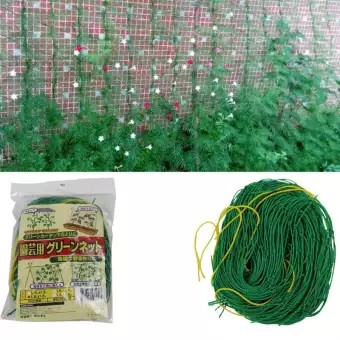 Lưới làm giàn dây leo kích thước 2 x 4m