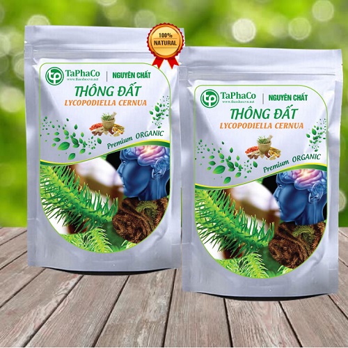 Cây thông đất sấy khô 500g - Thảo Dược Tấn Phát