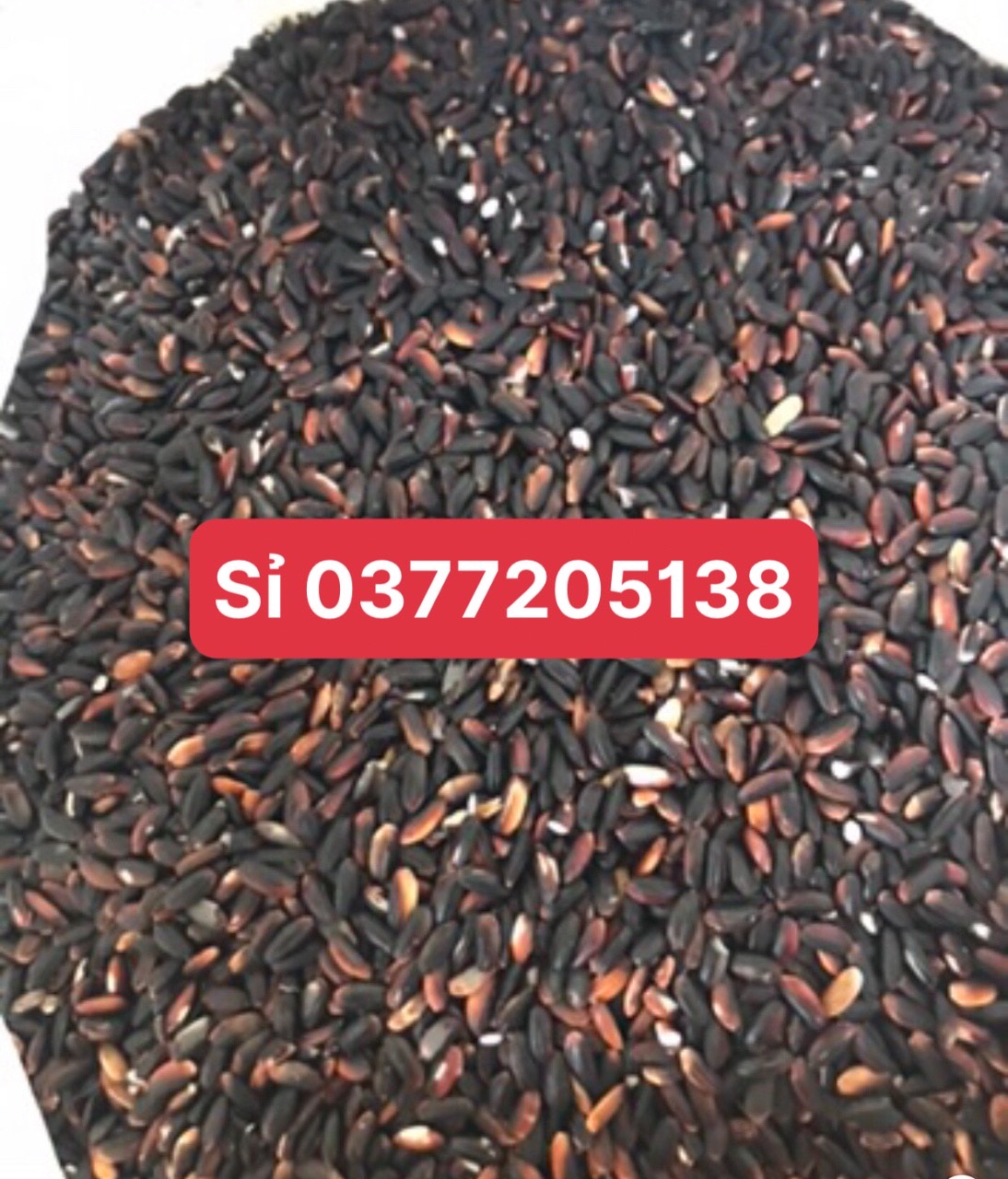 Gạo cẩm nếp nương biên (5kg)