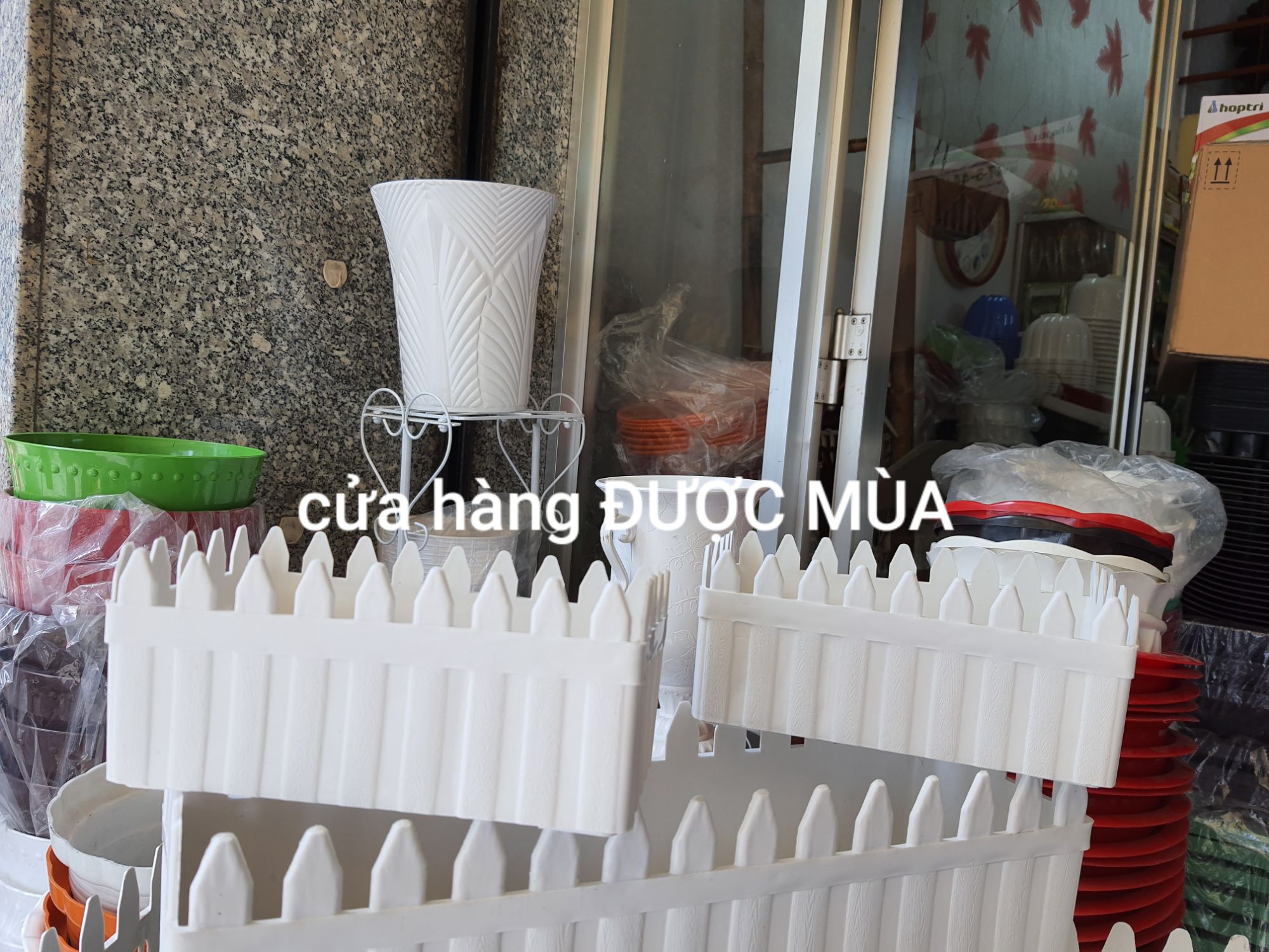 combo 2 chậu hàng rào dài 20cm