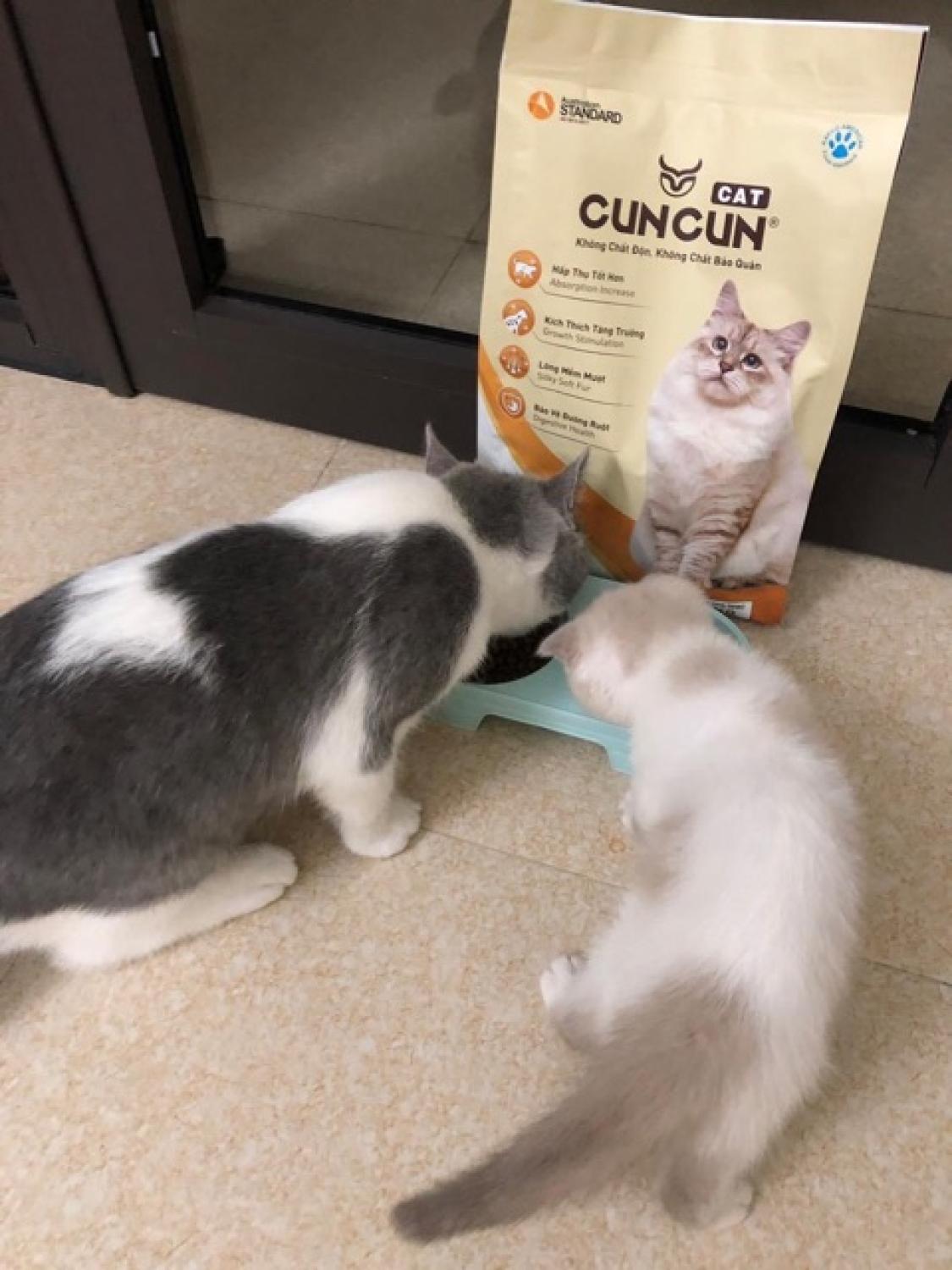 Thức ăn cho mèo CunCun CAT (Hạt mèo phổ thông)