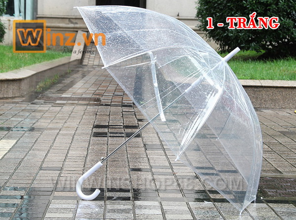 Ô Dù Trong Suốt Chụp Ảnh